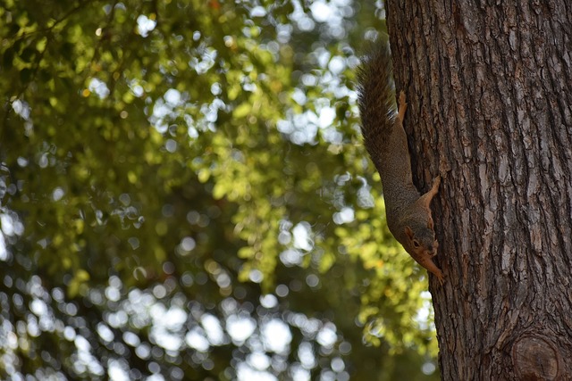 孙杨此举让 孙杨此举让