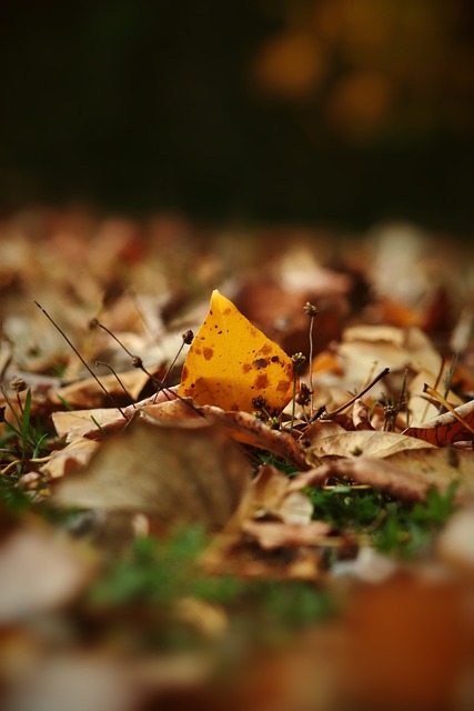 的运动员都 的运动员都