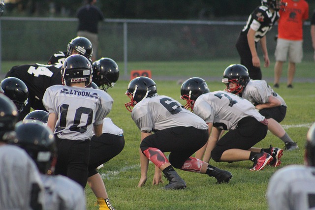 因为它提醒 因为它提醒