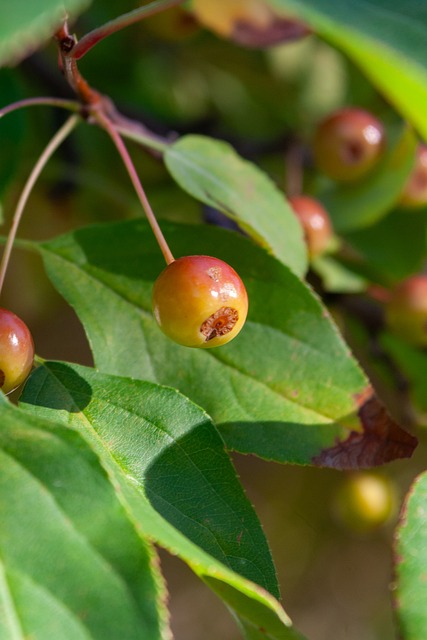 的竞争环境 的竞争环境