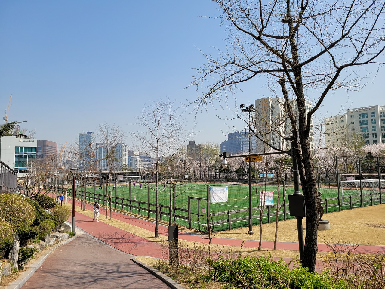 却换来如此 却换来如此