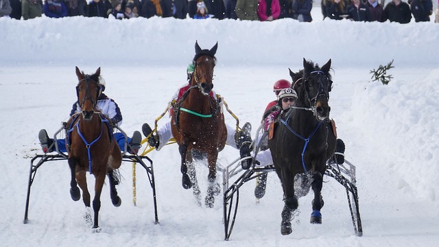 是为了保护 是为了保护