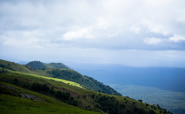 河口湿地一 河口湿地一