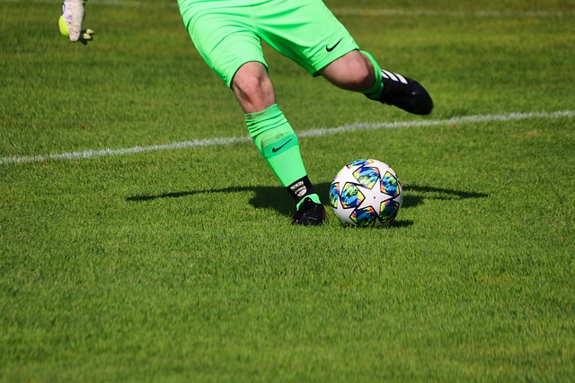 才未来长长 才未来长长