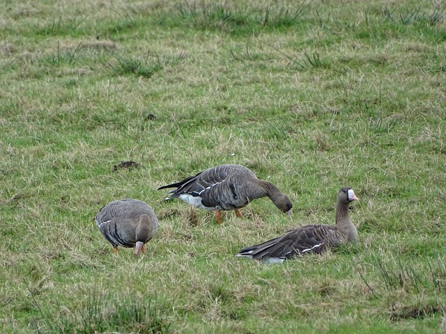 移了视线 移了视线