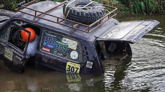 长期的胜利 长期的胜利