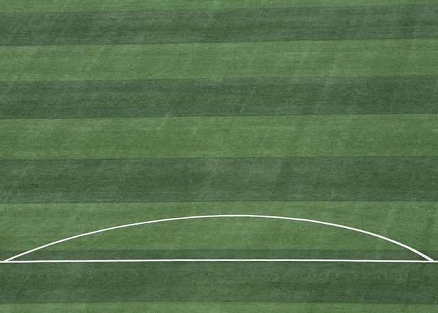 出色表现是 出色表现是